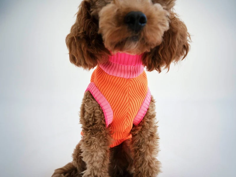 Glow Jumper 2.0 Hundepullover