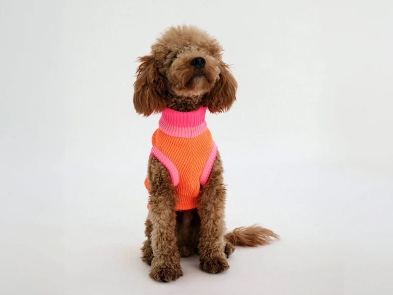 Glow Jumper 2.0 Hundepullover