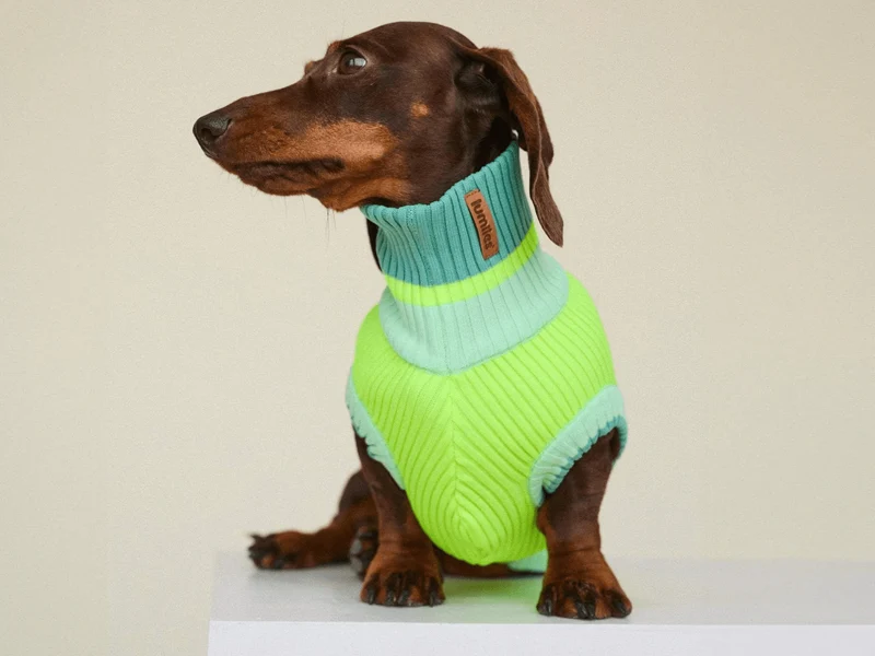 Glow Jumper 2.0 Hundepullover