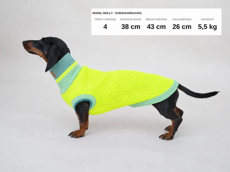 Glow Jumper 2.0 Hundepullover
