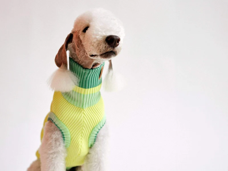 Glow Jumper 2.0 Hundepullover