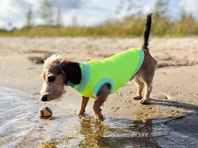 Glow Jumper 2.0 Hundepullover