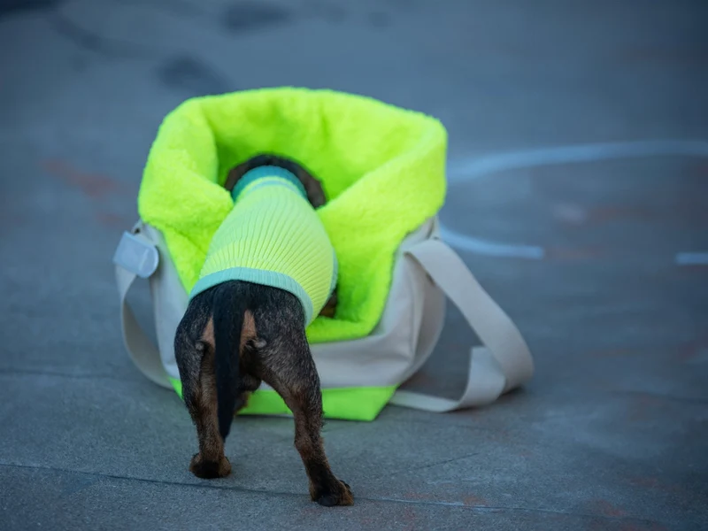 Glow Jumper 2.0 Hundepullover
