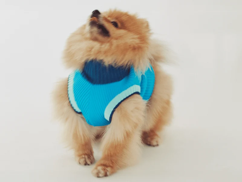 Glow Jumper 2.0 Hundepullover