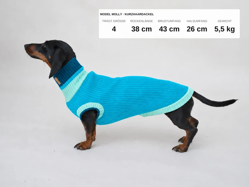 Glow Jumper 2.0 Hundepullover