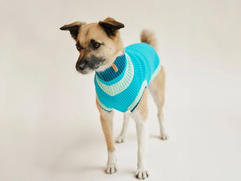 Glow Jumper 2.0 Hundepullover