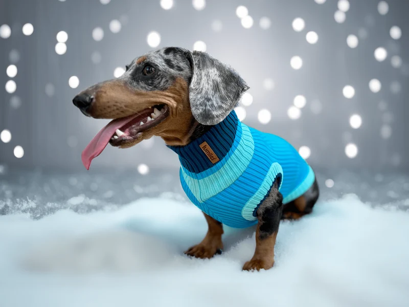 Glow Jumper 2.0 Hundepullover