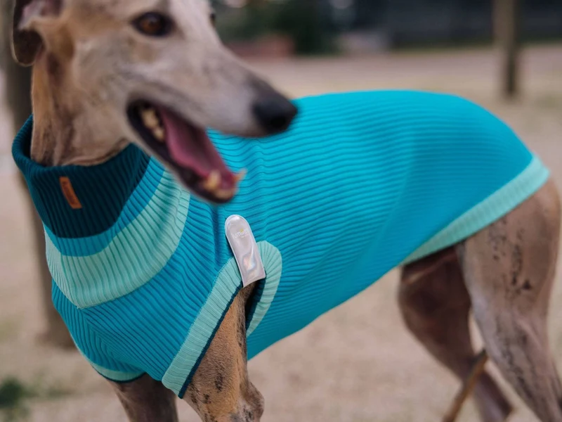 Glow Jumper 2.0 Hundepullover