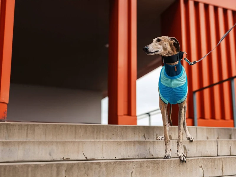 Glow Jumper 2.0 Hundepullover