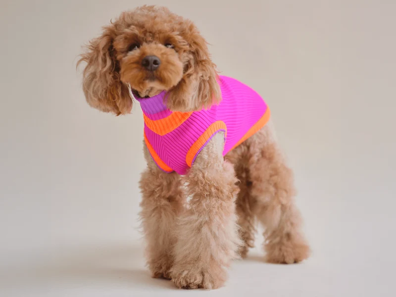 Glow Jumper 2.0 Hundepullover