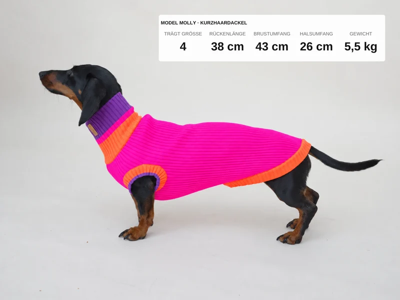 Glow Jumper 2.0 Hundepullover