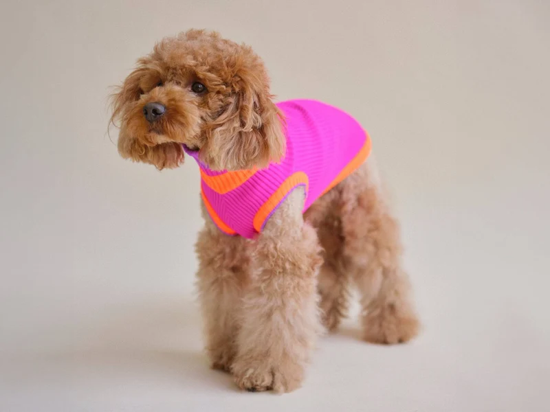 Glow Jumper 2.0 Hundepullover