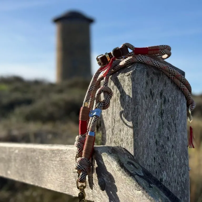 Tauhalsband Domburg