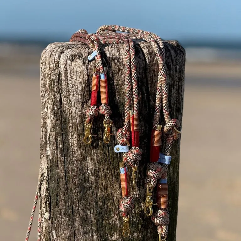 Tauhalsband Domburg