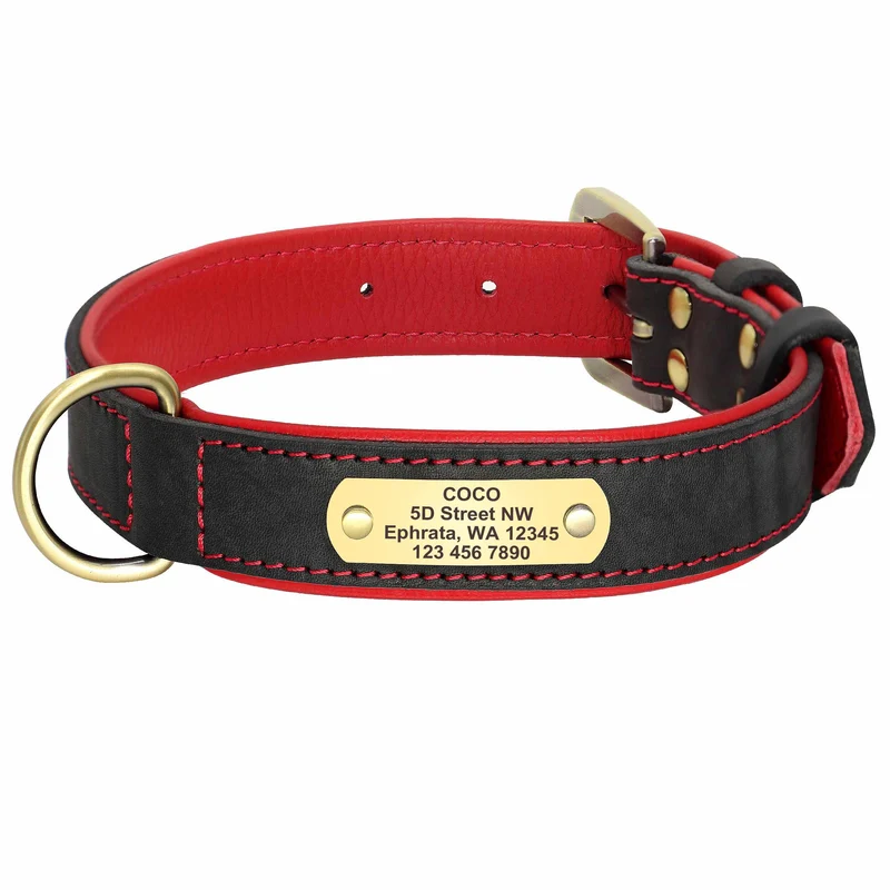 Exklusives Leder Hundehalsband mit Namen und Telefon graviert