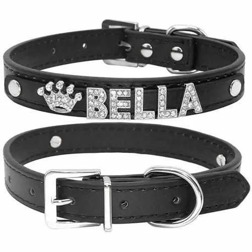 Edles Hundehalsband personalisiert mit Glitzersteinen + Symbol