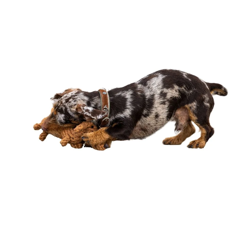 Hundespielzeug Diego Dackel
