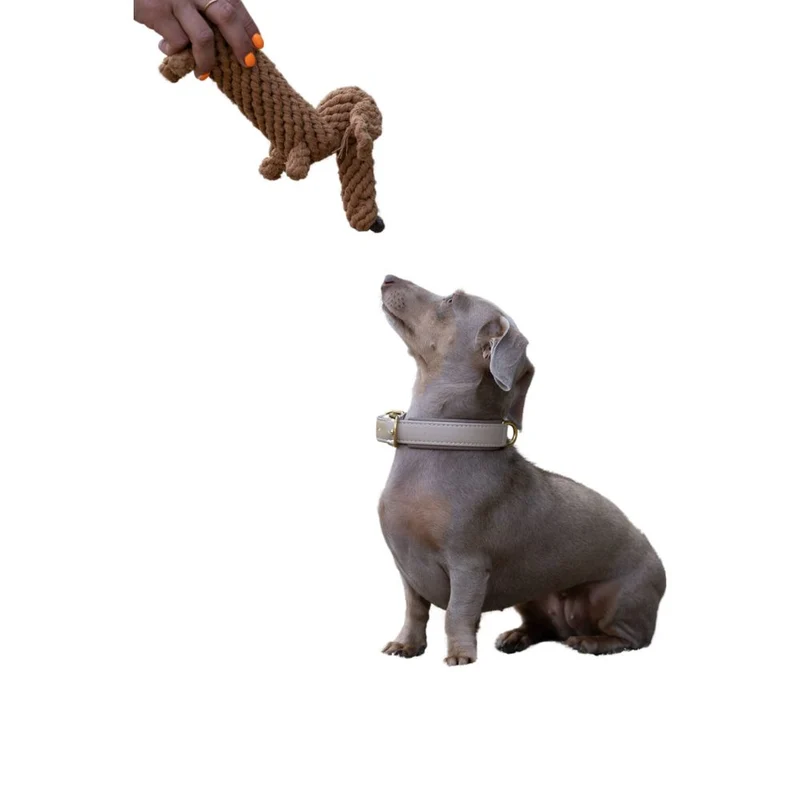Hundespielzeug Diego Dackel