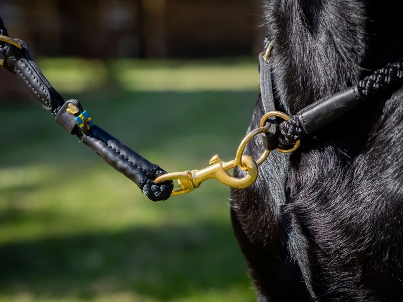 SABRO Hundehalsband OUTDOOR Rundzug
