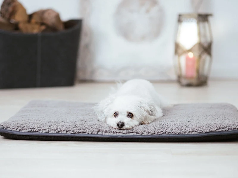 SABRO Hundematte HYGGE PAD