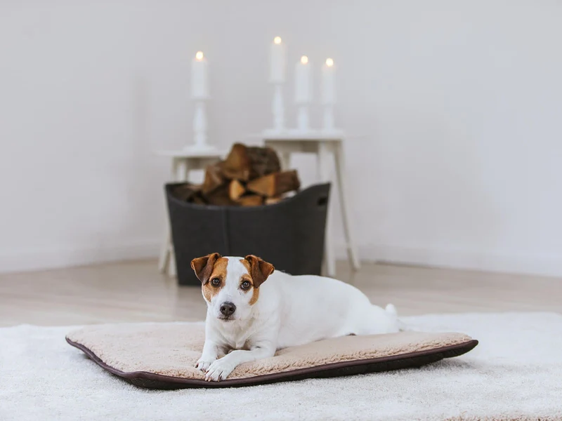 SABRO Hundematte HYGGE PAD