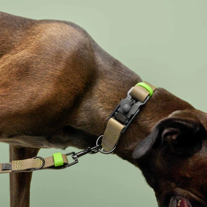 Hundehalsband BioThane Ipanema - Olive-Neon Green