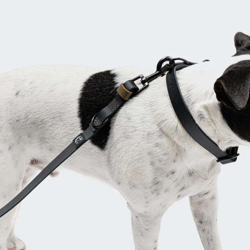 Hundehalsband BioThane Ipanema - Black-Olive