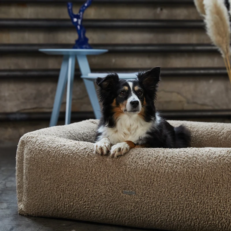 Buciano Bouclé Hundebett Oreo