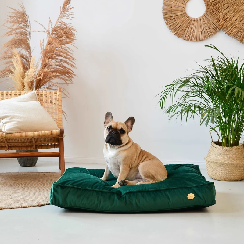 Orthopädische Samt-Hundematratze Größe M