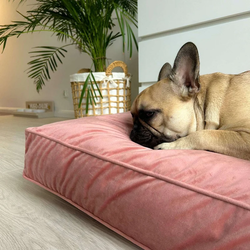 Orthopädische Samt-Hundematratze Größe M