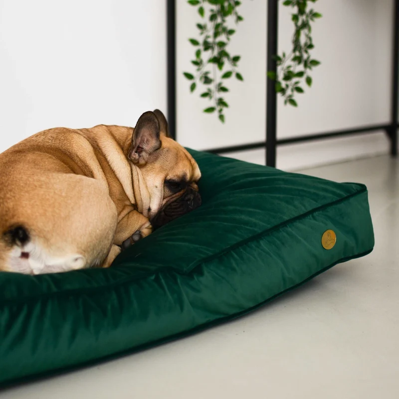 Orthopädische Samt-Hundematratze Größe M
