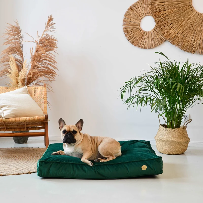 Orthopädische Samt-Hundematratze Größe M