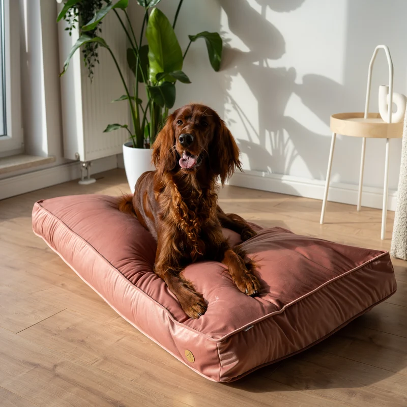Orthopädische Samt-Hundematratze Größe L