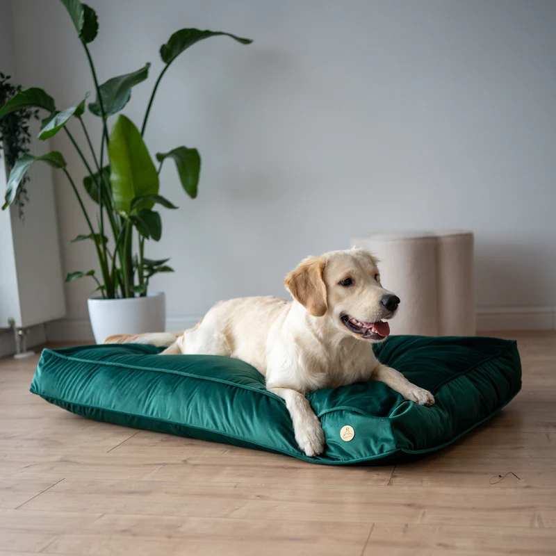 Orthopädische Samt-Hundematratze Größe L