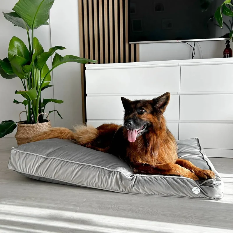 Orthopädische Samt-Hundematratze Größe L