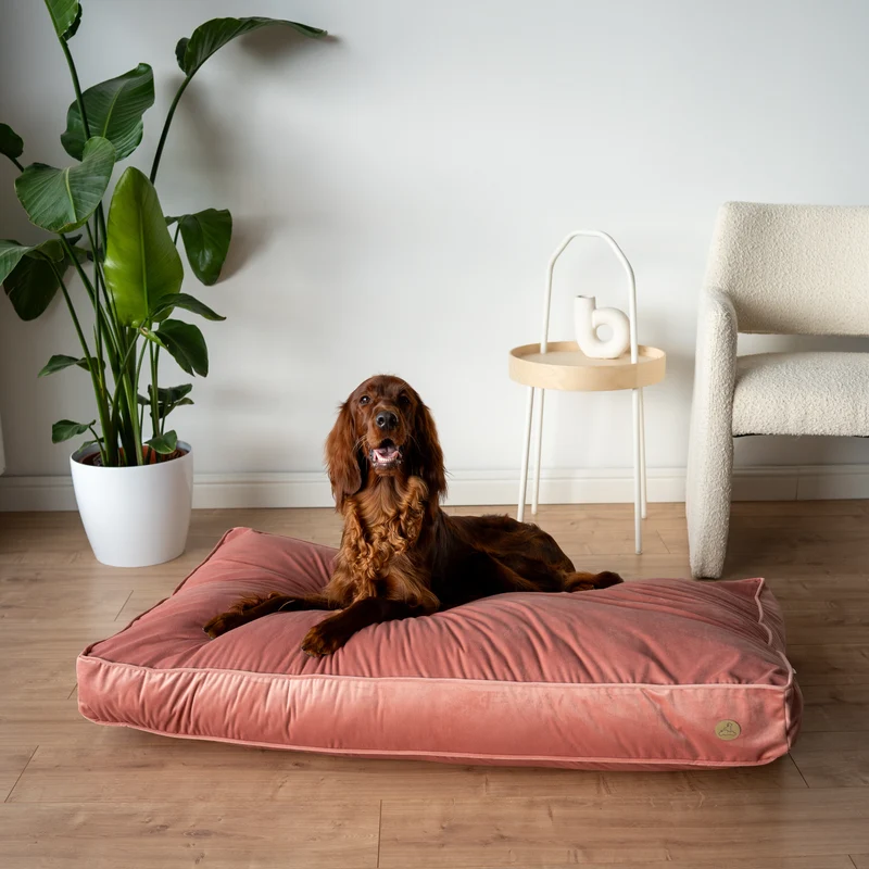 Orthopädische Samt-Hundematratze Größe L