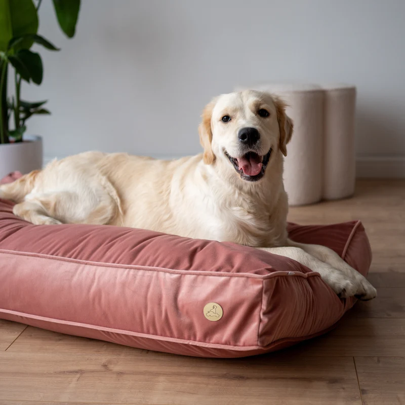 Orthopädische Samt-Hundematratze Größe L