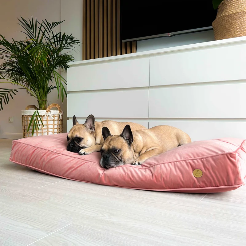 Orthopädische Samt-Hundematratze Größe L