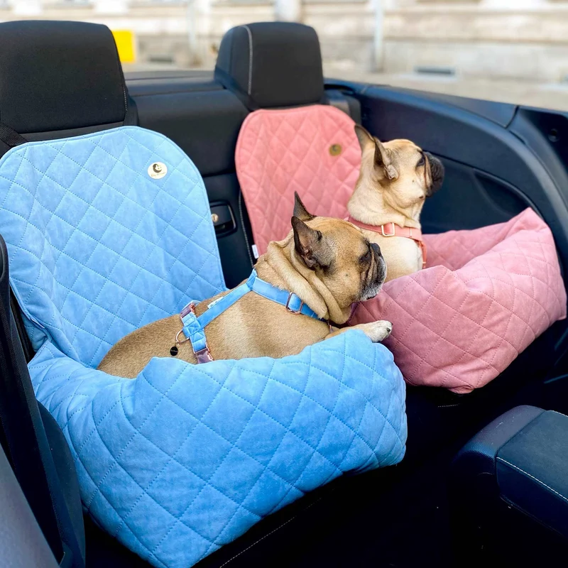 Autositz für Hunde
