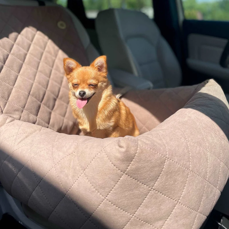Autositz für Hunde