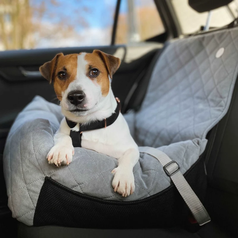 Autositz für Hunde