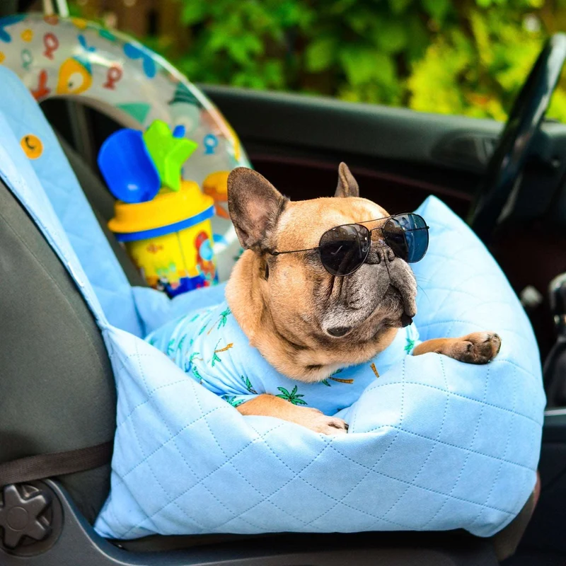 Autositz für Hunde