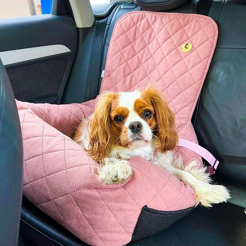 Autositz für Hunde