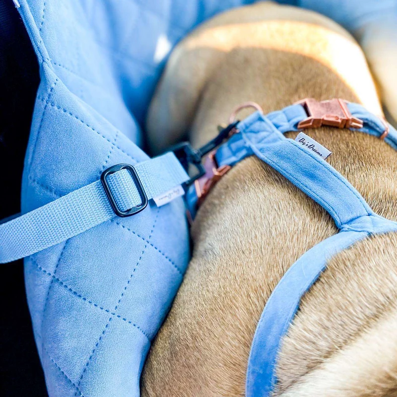 Autositz für Hunde