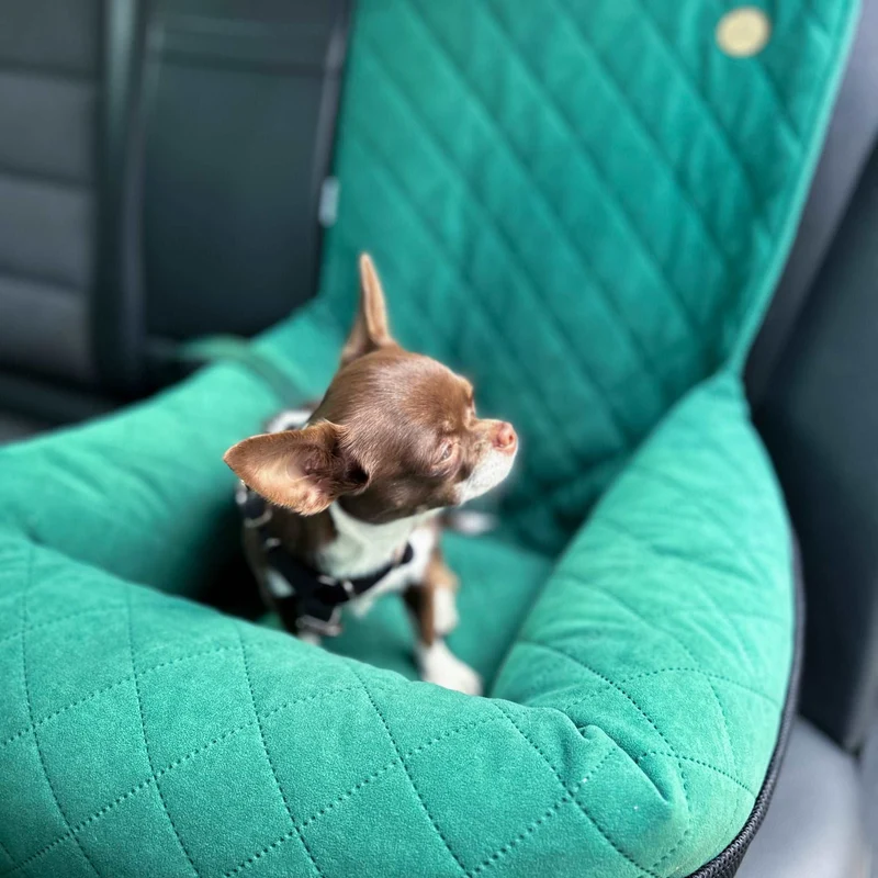 Autositz für Hunde