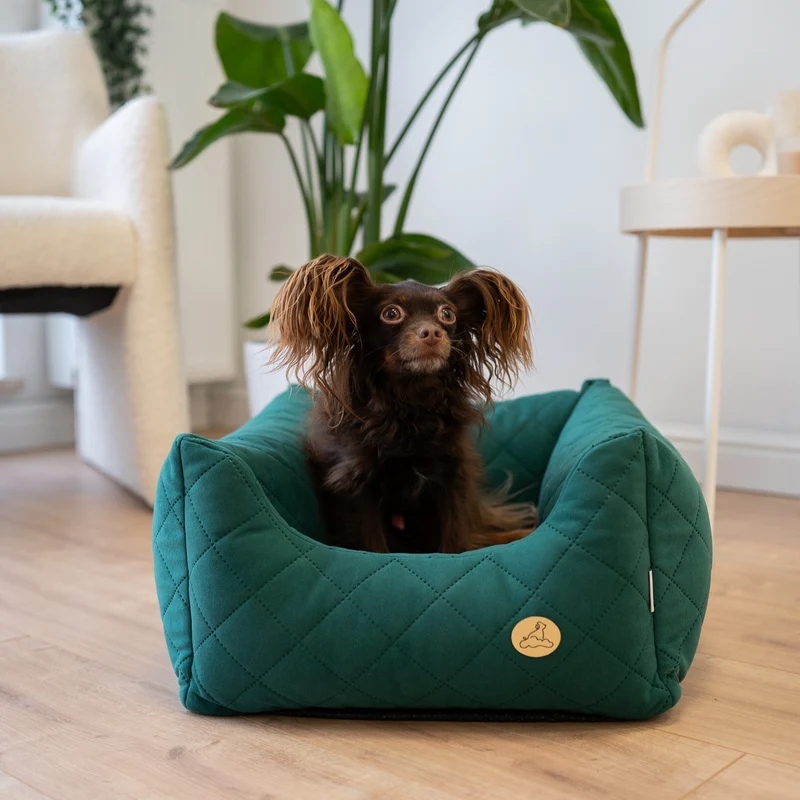 Orthopädisches Hundebett COZY - Größe S