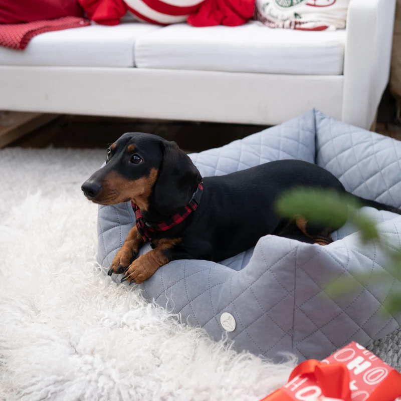 Orthopädisches Hundebett COZY - Größe M