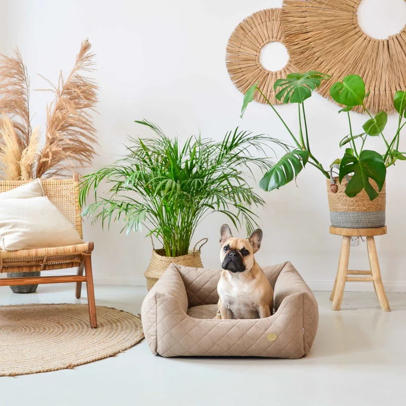 Orthopädisches Hundebett COZY - Größe M