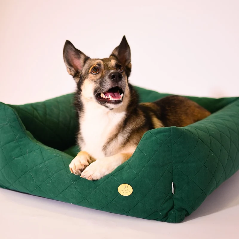 Orthopädisches Hundebett COZY - Größe L