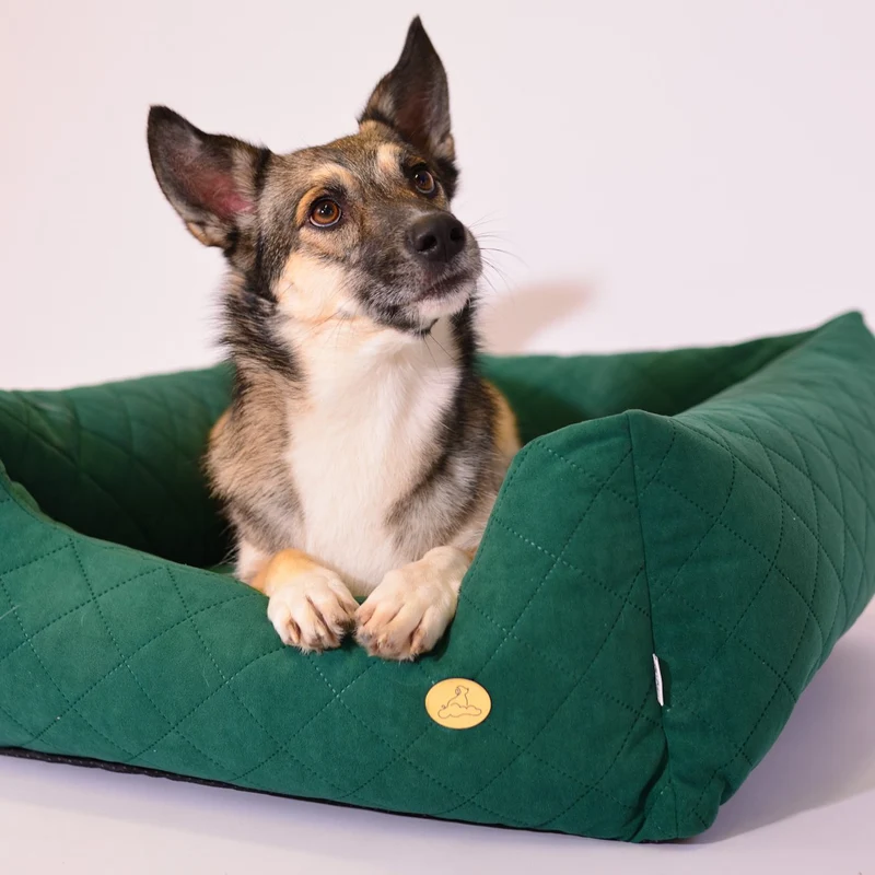 Orthopädisches Hundebett COZY - Größe L